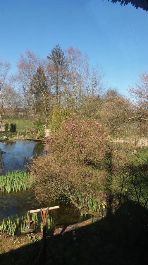 De Geheime Tuin - Uitzicht Bed and Breakfast Epe Εξωτερικό φωτογραφία